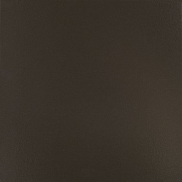 IMG017 (9523)